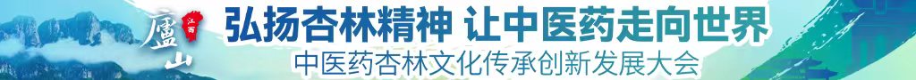 使劲操我骚逼片中医药杏林文化传承创新发展大会